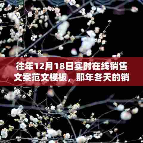 那年冬天销售奇遇，友情、温暖与实时销售相遇的篇章