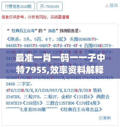 最准一肖一码一一子中特7955,效率资料解释落实_SE版7.150