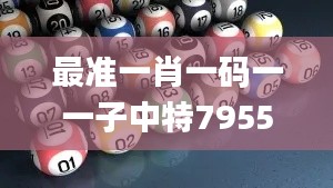 最准一肖一码一一子中特7955,效率资料解释落实_SE版7.150