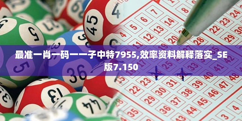 最准一肖一码一一子中特7955,效率资料解释落实_SE版7.150