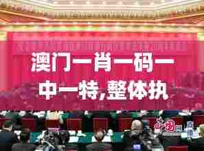 澳门一肖一码一中一特,整体执行讲解_T5.405