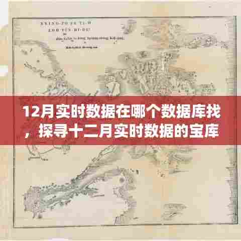 揭秘十二月实时数据的宝库，探寻数据库之旅