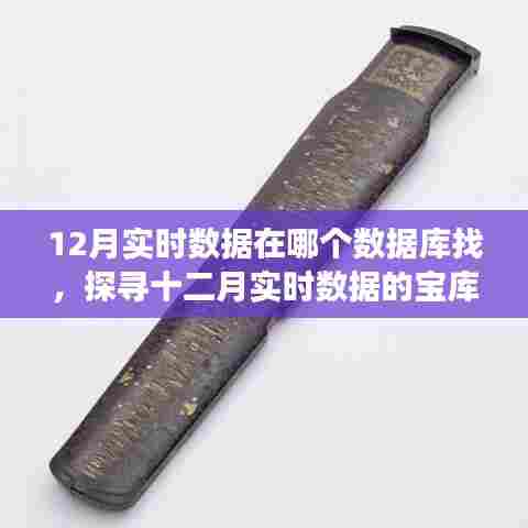 揭秘十二月实时数据的宝库,探寻数据库之旅
