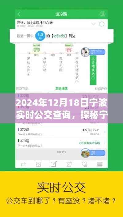 探秘宁波小巷深处的宝藏公交导航小店,2024年实时公交查询指南