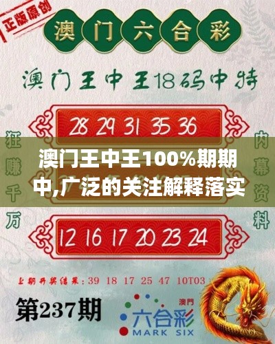 澳门王中王100%期期中,广泛的关注解释落实热议_增强版10.742