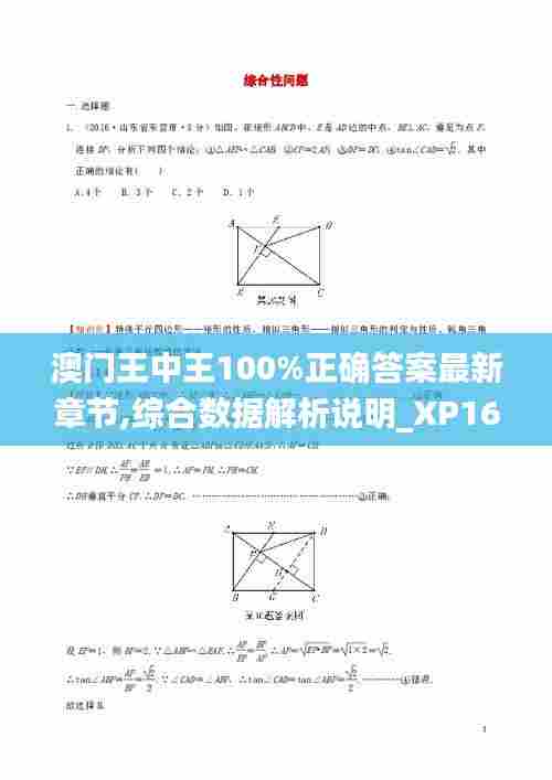 澳门王中王100%正确答案最新章节,综合数据解析说明_XP16.656