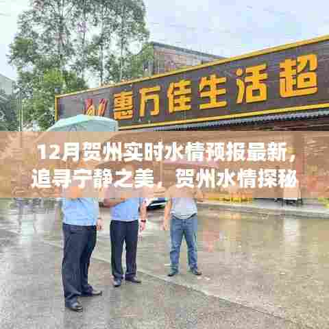 贺州水情最新预报，探寻宁静之美，启程寻找内心的平和与喜悦之旅