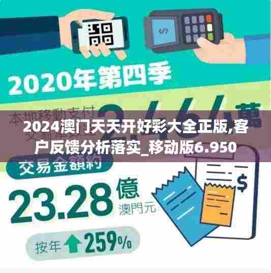 2024澳门天天开好彩大全正版,客户反馈分析落实_移动版6.950