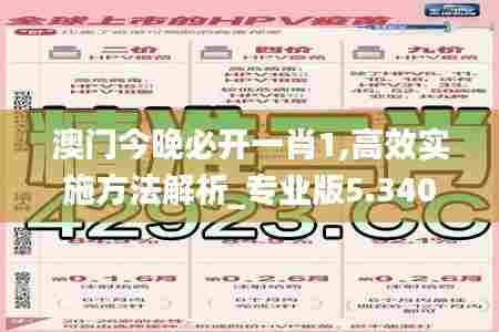 澳门今晚必开一肖1,高效实施方法解析_专业版5.340