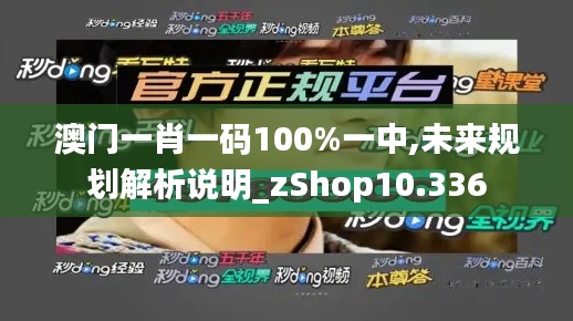 澳门一肖一码100%一中,未来规划解析说明_zShop10.336