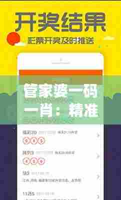 管家婆一码一肖:精准匹配的财务管理新理念