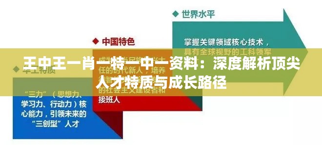 王中王一肖一特一中一资料：深度解析顶尖人才特质与成长路径