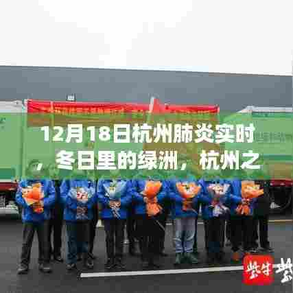杭州肺炎实时观察,冬日绿洲之旅,探寻肺炎阴影下的自然宁静
