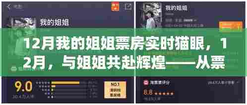 十二月，与姐姐共赴辉煌，票房见证人生励志之旅