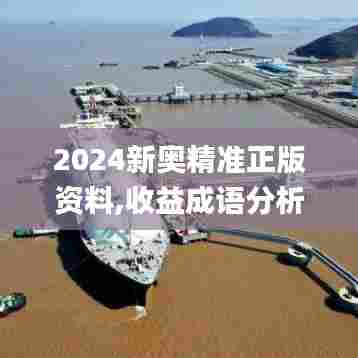 2024新奥精准正版资料,收益成语分析落实_专属款13.278