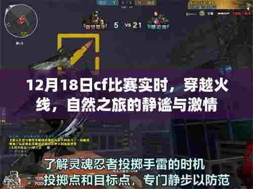 穿越火线，自然之旅的静谧与激情，12月18日比赛实时报道