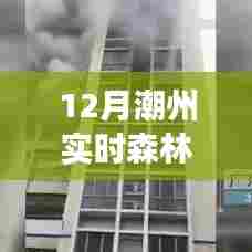 潮州秘境火灾危机,森林火灾与小巷特色小店的背后故事