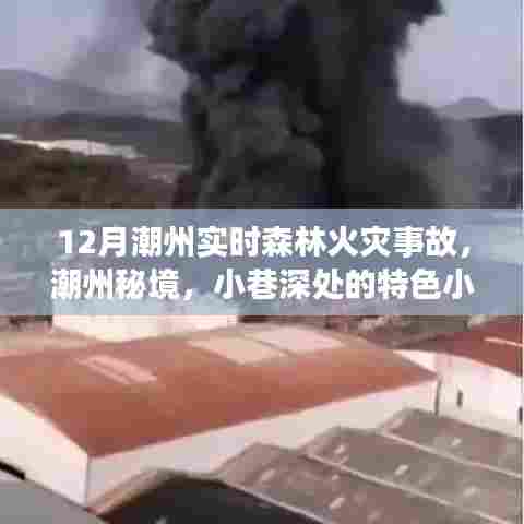 潮州秘境火灾危机,森林火灾与小巷特色小店的背后故事