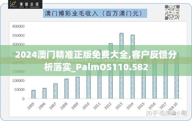 2024澳门精准正版免费大全,客户反馈分析落实_PalmOS110.582