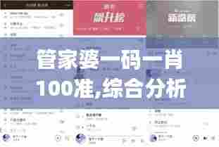 管家婆一码一肖100准,综合分析解释定义_Advance17.937