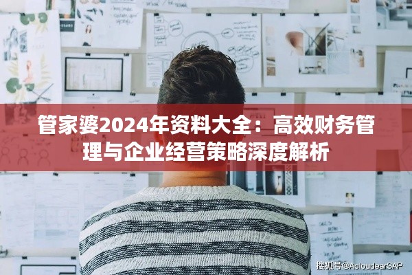 管家婆2024年资料大全:高效财务管理与企业经营策略深度解析