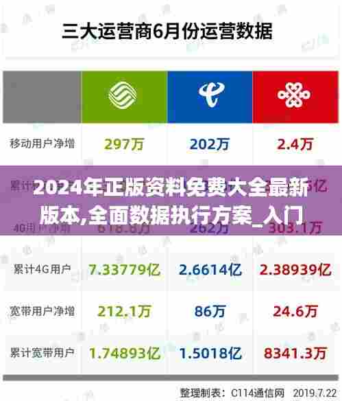 2024年正版资料免费大全最新版本,全面数据执行方案_入门版6.771