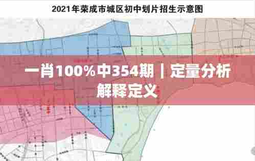一肖100%中354期|定量分析解释定义