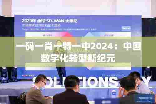 一码一肖一特一中2024：中国数字化转型新纪元