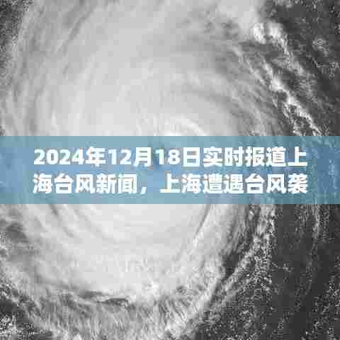 上海遭遇台风袭击，实时报道与深度分析（深度报道台风影响上海情况）