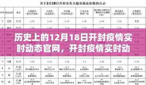 开封疫情实时动态官网使用指南，轻松获取历史12月18日疫情信息