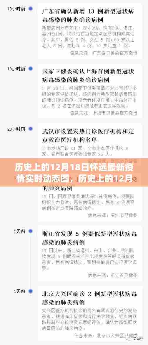 历史上的12月18日怀远疫情实时动态图详解与全面评测介绍