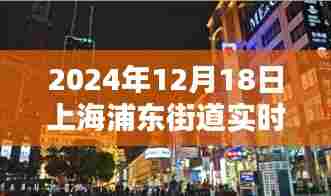 未来导航新纪元,上海浦东街道智能路况实时监测系统引领未来出行体验(实时路况更新 2024年12月18日)