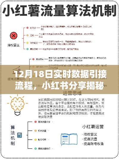 揭秘12月18日实时数据引接流程，小红书分享高效操作技巧助你轻松掌握奥秘！
