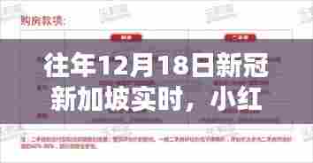小红书揭秘,往年12月18日新加坡新冠疫情实时动态回顾
