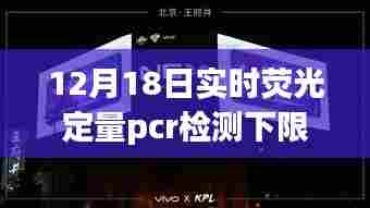 探秘小巷深处的神秘小店,揭秘实时荧光定量PCR检测下限的独特之旅。