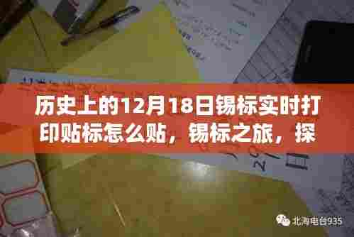 锡标之旅,探索自然美景与内心平静艺术,锡标实时打印贴标指南