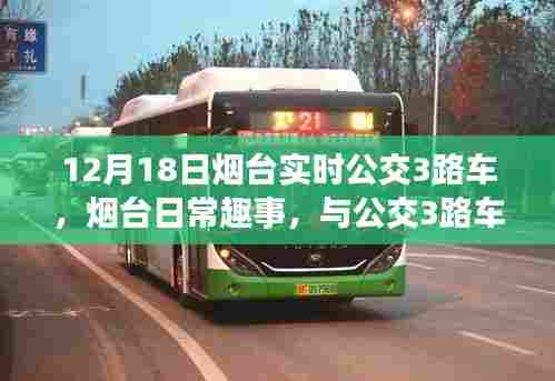 烟台公交3路车的温暖邂逅与日常趣事分享