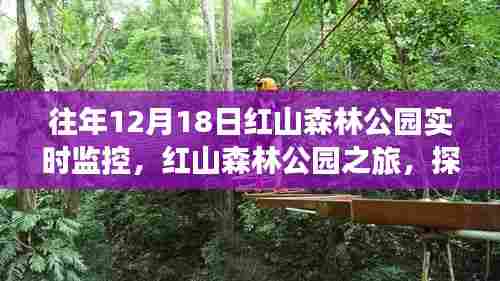 红山森林公园之旅，探索自然美景，寻找内心的宁静——实时探索纪实监控日活动体验