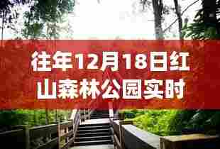 红山森林公园之旅,探索自然美景,寻找内心的宁静——实时探索纪实监控日活动体验