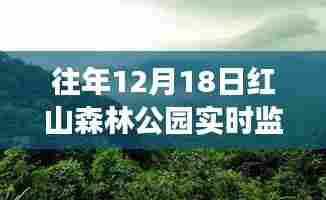 红山森林公园之旅,探索自然美景,寻找内心的宁静——实时探索纪实监控日活动体验