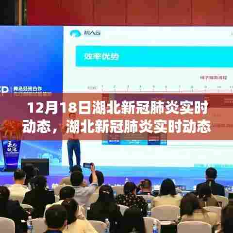 湖北新冠肺炎实时动态跟踪系统，科技重塑健康防线，12月18日最新动态