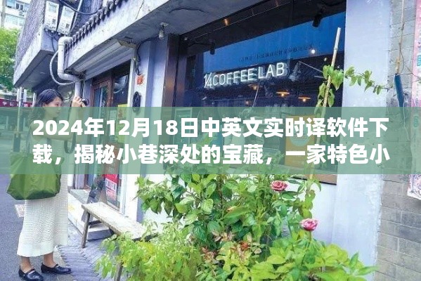 揭秘小巷宝藏，特色小店带你领略实时中英文翻译软件的魅力