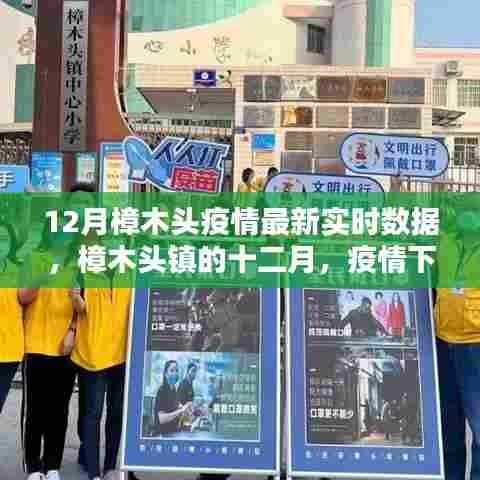 樟木头镇十二月疫情实时数据,温情日常与友情纽带下的抗疫之路