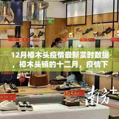 樟木头镇十二月疫情实时数据,温情日常与友情纽带下的抗疫之路