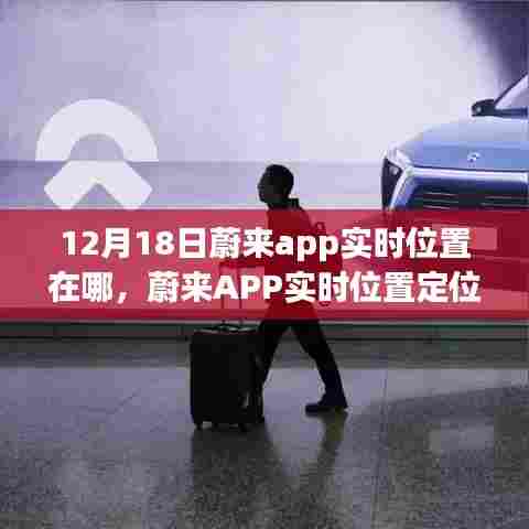 蔚来APP实时位置定位，双刃剑效应下的隐私与服务分析
