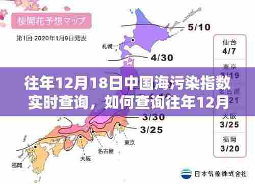 往年12月18日中国海污染指数实时查询,详细步骤指南与数据查询方法解析
