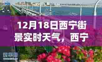 12月18日西宁街景实时天气,城市气象概览报道