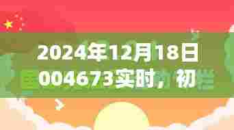 初学者也能轻松掌握——技能学习与实践指南(编号,004673)实时任务完成指南(2024年12月18日)