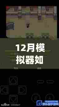零基础操作指南,12月模拟器网络实时连接全攻略