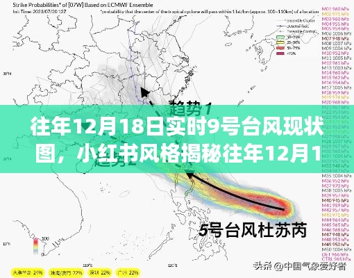 小红书风格揭秘,超强台风背后的故事与影响——往年12月18日实时台风现状图展示